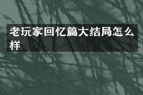 老玩家回忆篇大结局怎么样