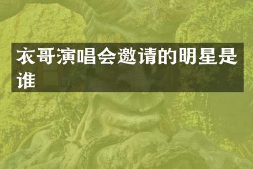衣哥演唱会邀请的明星是谁