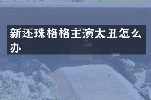 新还珠格格主演太丑怎么办