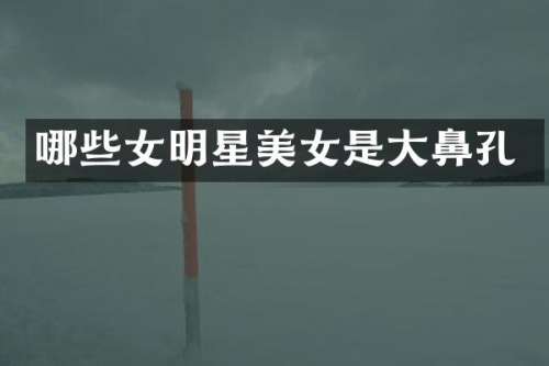 哪些女明星是大鼻孔