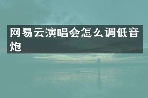 网易云演唱会怎么调低音炮