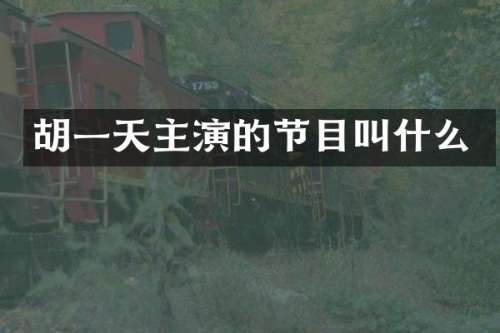胡一天主演的节目叫什么
