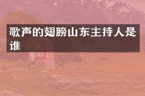 歌声的翅膀山东主持人是谁