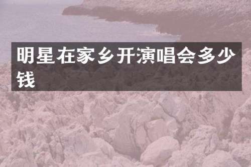 明星在家乡开演唱会多少钱