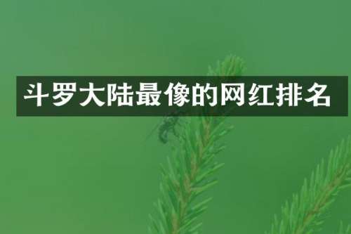 斗罗大陆最像的网红排名