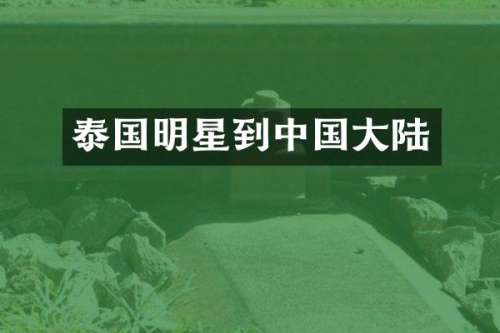 泰国明星到中国大陆