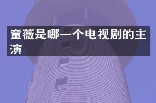 童薇是哪一个电视剧的主演