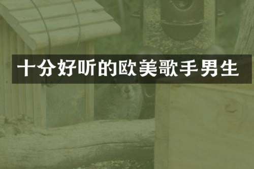 十分好听的欧美歌手男生
