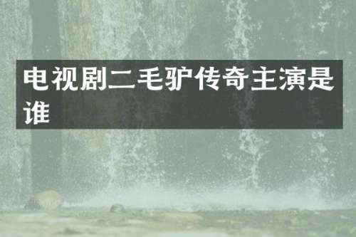 电视剧二毛驴传奇主演是谁