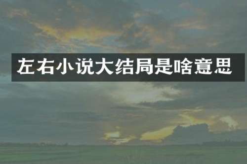 左右小说大结局是啥意思