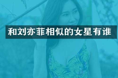 和刘亦菲相似的女星有谁