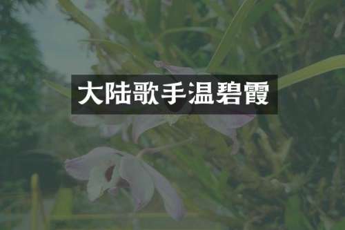 大陆歌手温碧霞