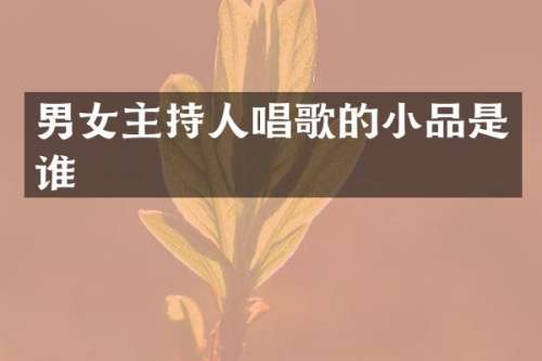 男女主持人唱歌的小品是谁