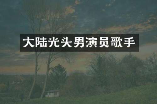 大陆光头男演员歌手