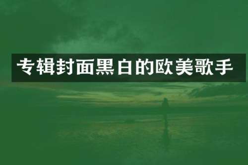 专辑封面黑白的欧美歌手