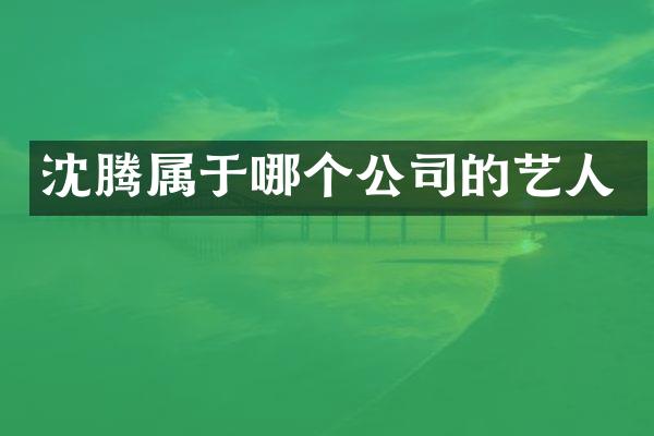 沈腾属于哪个公司的艺人