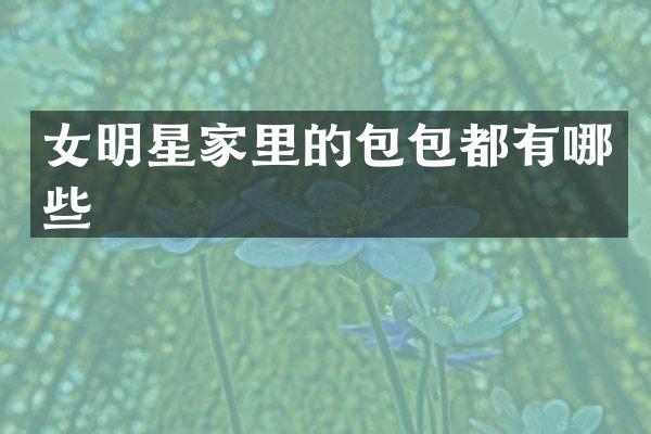 女明星家里的包包都有哪些