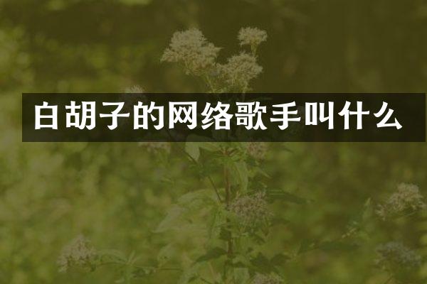 白胡子的网络歌手叫什么