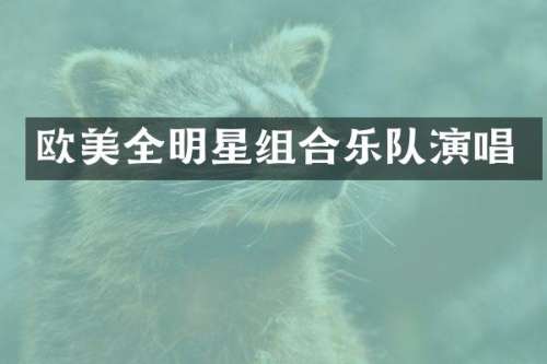 欧美全明星组合乐队演唱
