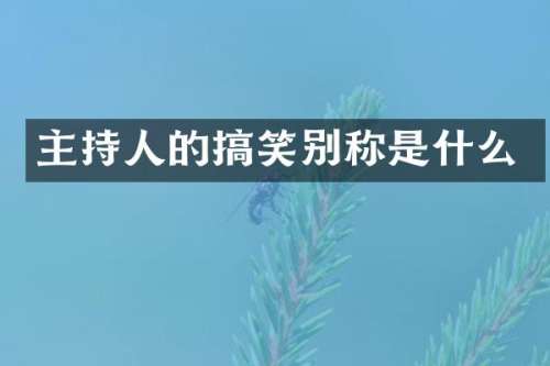 主持人的搞笑别称是什么