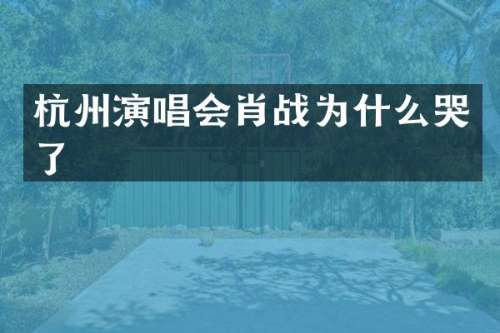 杭州演唱会肖战为什么哭了