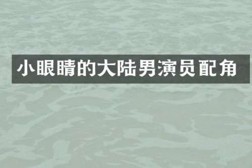 小眼睛的大陆男演员配角