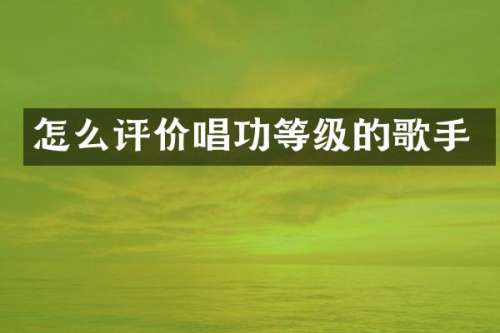 怎么评价唱功等级的歌手