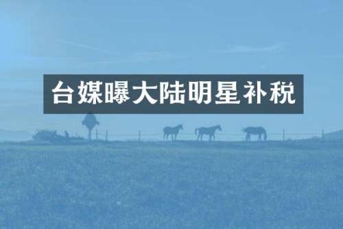 台媒曝大陆明星补税
