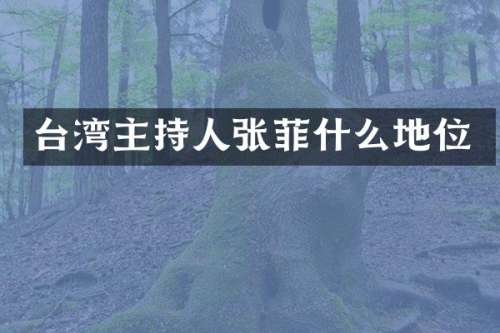 台湾主持人张菲什么地位