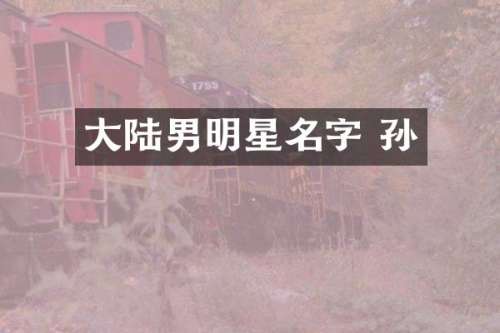 大陆男明星名字 孙