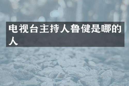 电视台主持人鲁健是哪的人