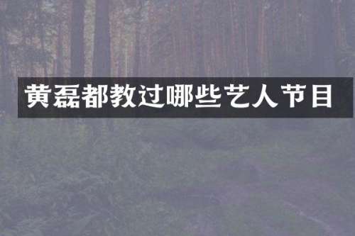 黄磊都教过哪些艺人节目