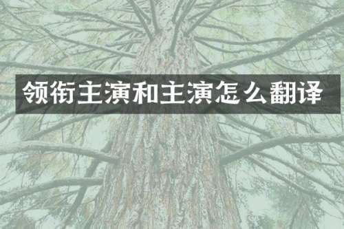 领衔主演和主演怎么翻译