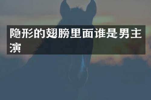 隐形的翅膀里面谁是男主演