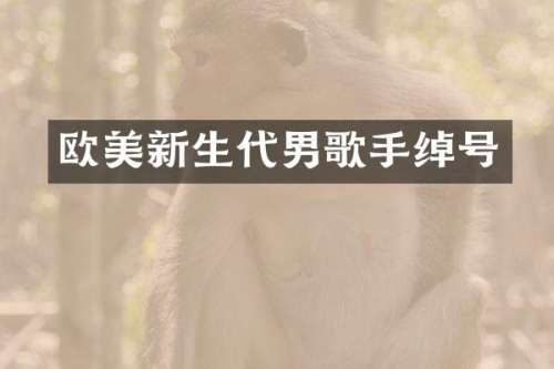 欧美新生代男歌手绰号