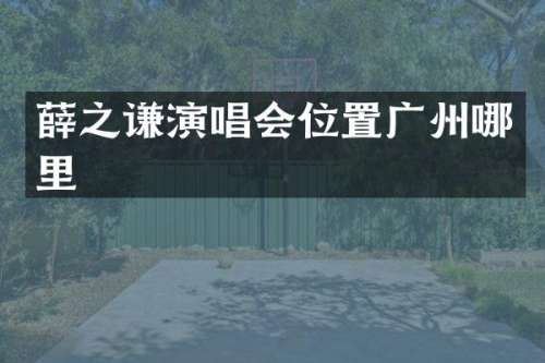 薛之谦演唱会位置广州哪里