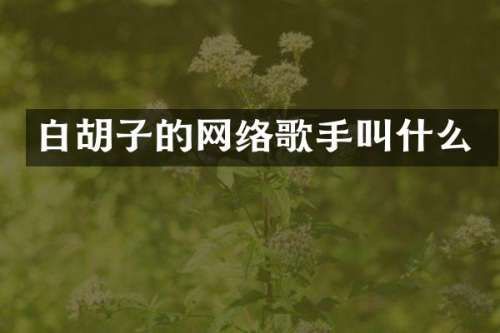 白胡子的网络歌手叫什么