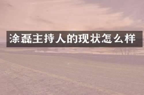 涂磊主持人的现状怎么样