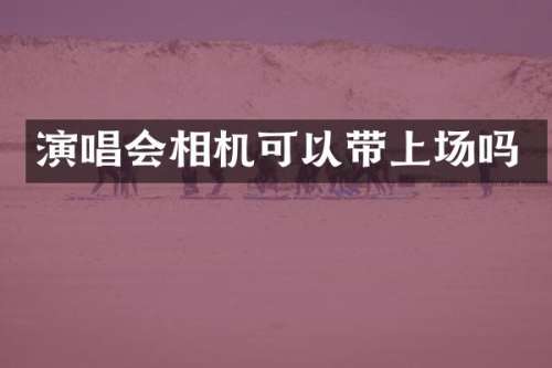 演唱会相机可以带上场吗