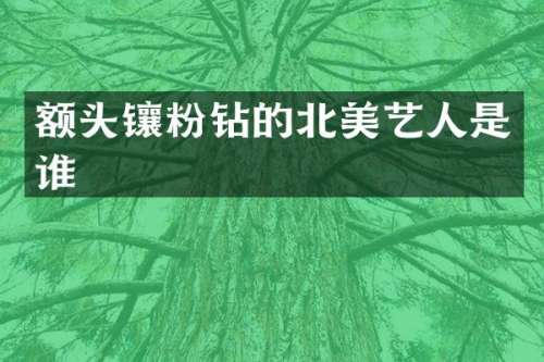 额头镶粉钻的北美艺人是谁