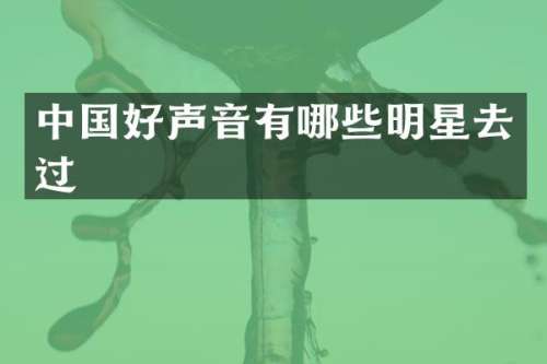 中国好声音有哪些明星去过