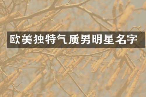 欧美独特气质男明星名字