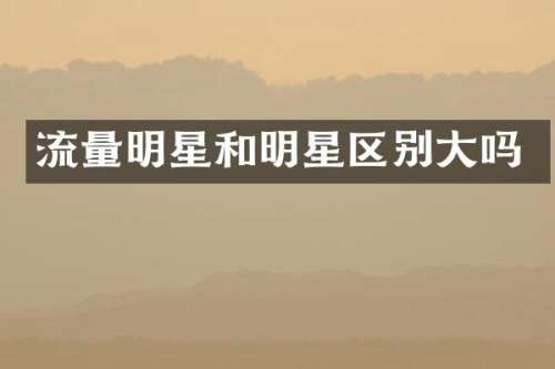 流量明星和明星区别大吗