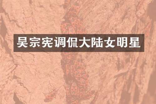 吴宗宪调侃大陆女明星