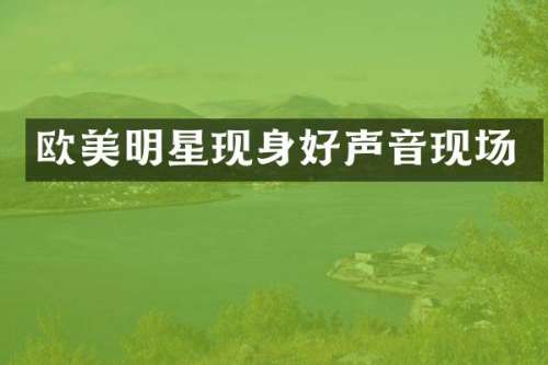 欧美明星现身好声音现场