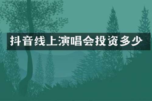 抖音线上演唱会投资多少