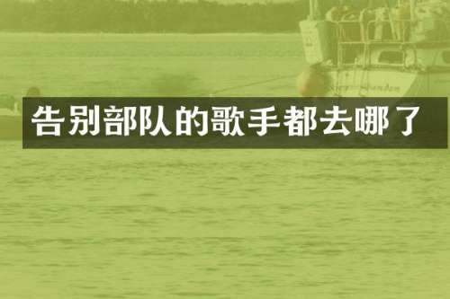 告别部队的歌手都去哪了