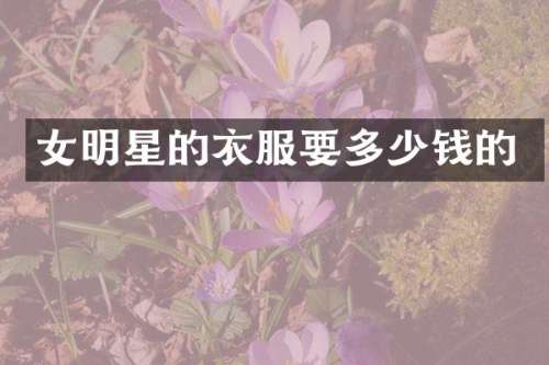 女明星的衣服要多少钱的