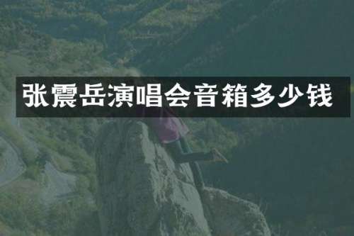 岳演唱会音箱多少钱