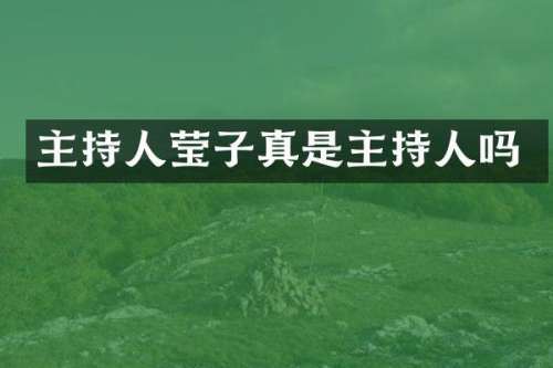 主持人莹子真是主持人吗